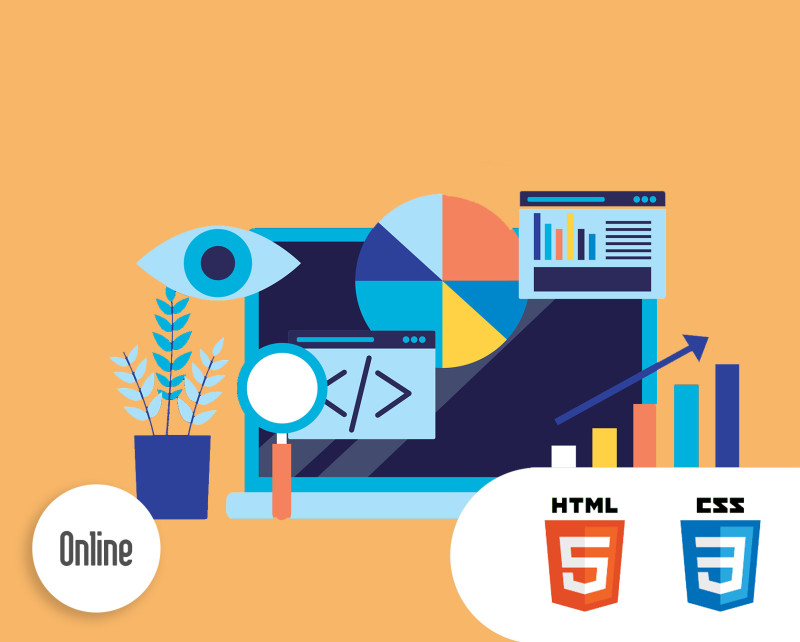 Junior Website-Entwickler - Online